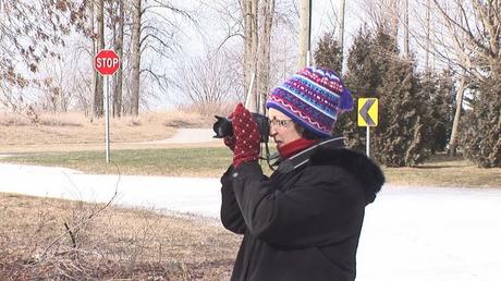 Jean shoots mockingbird, Thickson's woods - Whitby, Ontario