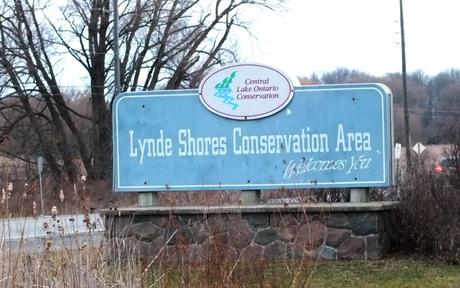 Lynde Shores Sign