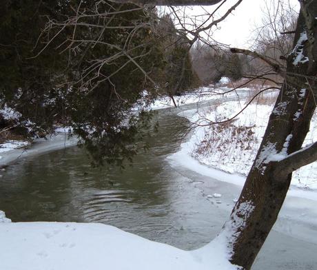Winter on the Green River - Pickering - Ontario