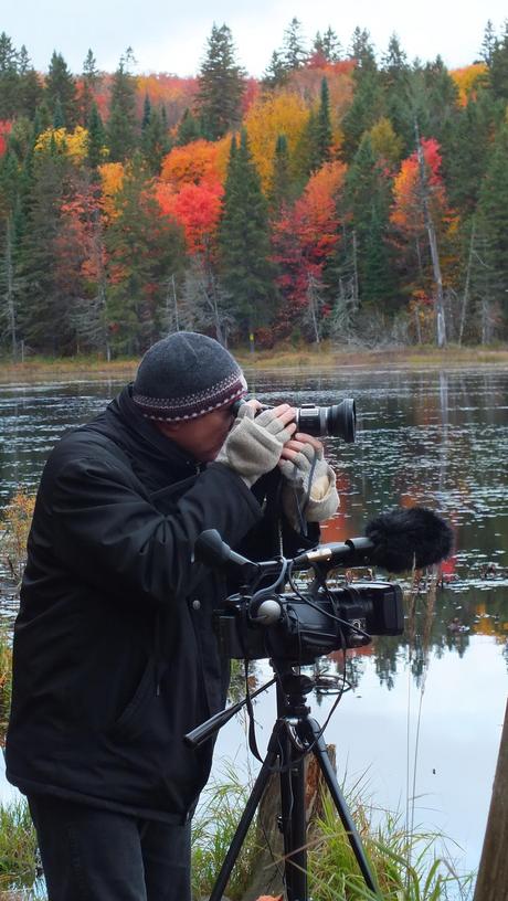 Bob films beavers in Algonquin Park - fall - Ontario