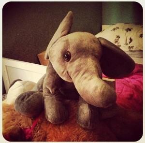#fmsphotoaday Day 3 - Elle the Elephant