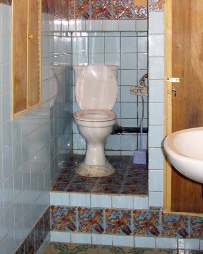 Refitted Armenian toilet