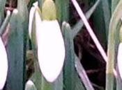 34/365 Very Welcome Sight