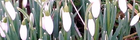 34/365 A Very Welcome Sight