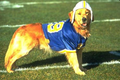 Air Bud Football 1a