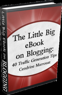 The Little Big eBook on Blogging: 40 Traffic Generation Tips by Cendrine Marrouat
