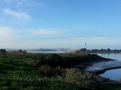 SF Bay Trail