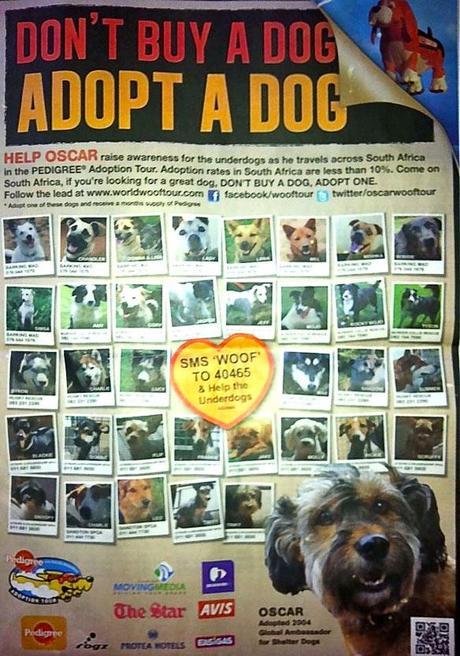 Legacy of Oscar Maximus: World's 1st DOG Ambassador