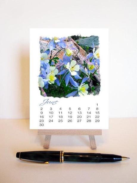 A Year of Flowers 2013 Desk Calendar