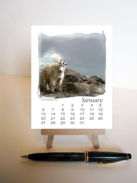 Denizens of the West Colorado Animal Calendar with Easel