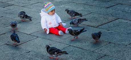 SOME IMAGES OF ST. MARK'S SQUARE AND THE PIGEONS THAT LIVE THERE