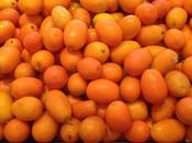 Taste Asia Kumquats