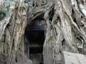 Cambodia Tours: Jungle Ruins Prohm