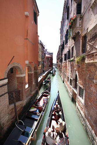 Gondoliers