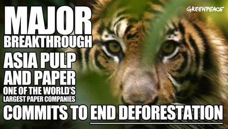 TIMELINE: How you persuaded Asia Pulp & Paper to stop cutting down Indonesia’s rainforests