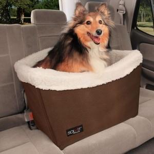 The Uncommon Dog: products for pet safety and comfort