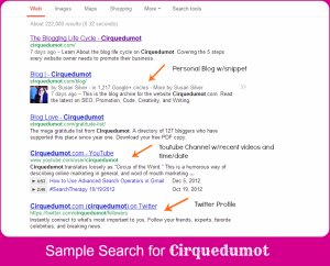 Sample Google Search for Cirquedumot