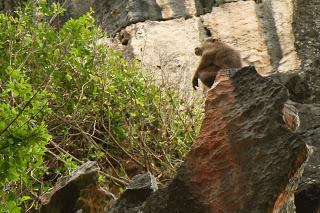 What to Do in Islas de Gigantes