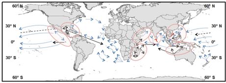 ws global model
