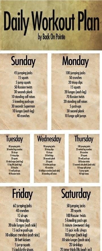 daily work out plan