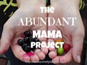 The Abundant Mama Project