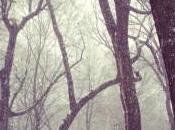 Brief] Instagram Elitism