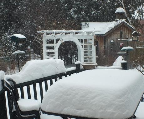 A snowy backyard in Toronto - Canada