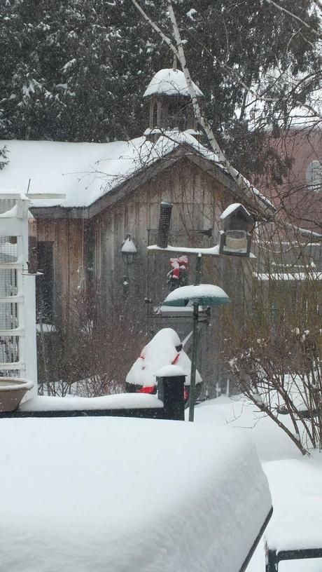 Snow on Toronto backyard table