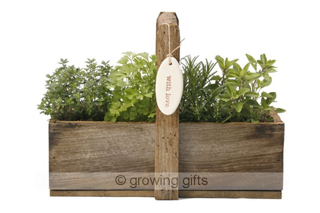 Guide: Top 10 Valentines Day Gifts for Guys Growing Gifts