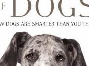 Dogs Smarter Than Think, Here’s Proof