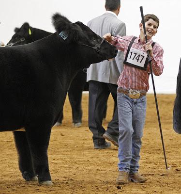 Panhandle Youth Is Stock Show Winner