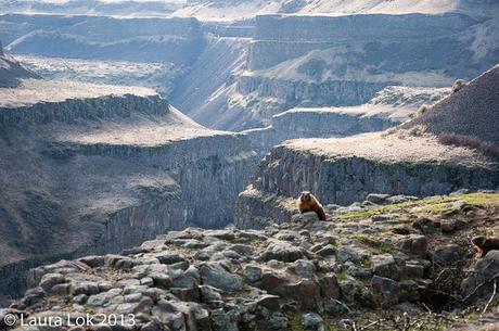 palouse falls feb 2013