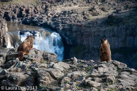 palouse falls feb 2013