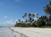 Perfect Beaches Lakes With Crystal Clear Water