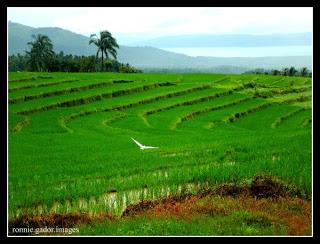 The Island Paradise of Biliran