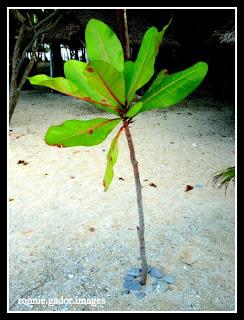 The Island Paradise of Biliran