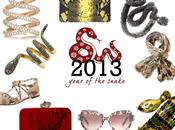 Happy Chinese Year! 2013 Year Snake……