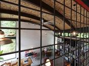 Nautilus Studio Calico