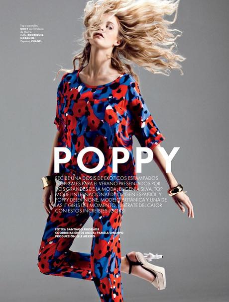 Matthew Williamson, Poppy Delevingne and Eugenia Silva for Elle Mexico July 2012 by Santiago Ruiseñor 2