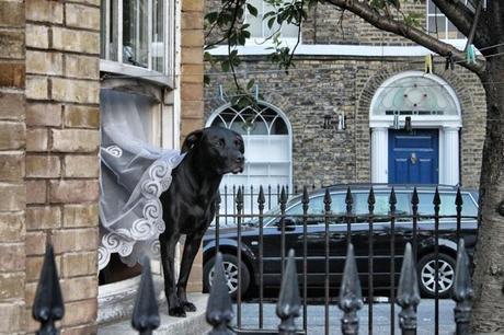 In and Around London... Through A Glass Londonly