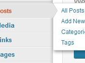 Adding Categories Menu Your WordPress Blog