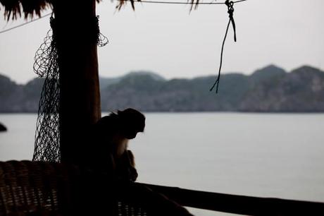 halong bay, vietnam