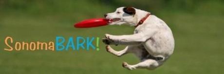 Dog friendly wineries Napa/Sonoma www.sonomabark