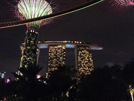 Supertree Grove at Night - Singapore