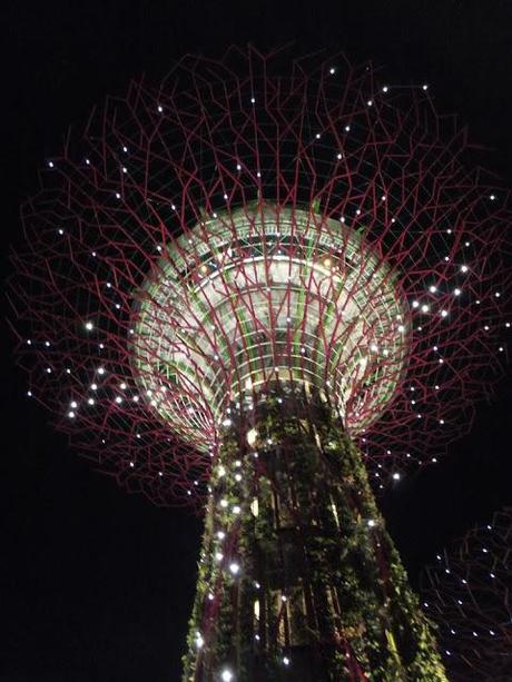 Supertree Grove at Night - Singapore