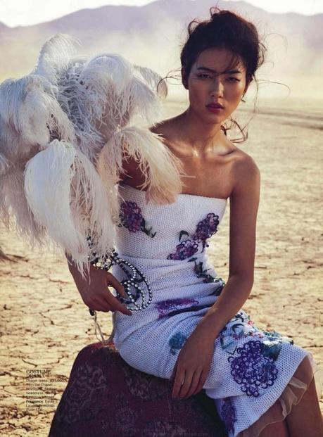 Liu Wen by Will Davidson for Vogue Australia March 2013 5