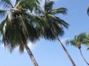 Escaping Winter With Thoughts Barbados