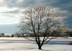 Snow covers the Coles Farm where uranium has been found.