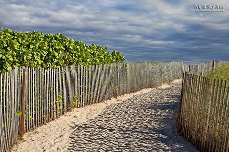 Summer's Last Breath