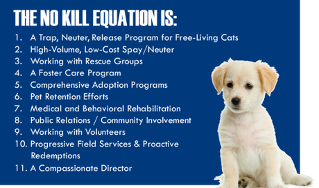 Shelters to do list Screen shot 2013-02-02 at 7.32.22 PM